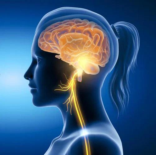 The Effect Of Transcutaneous Auricular Vagus Nerve Stimulation On Sports Performance And Physiological Parameters (VNS001)